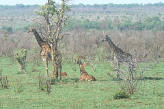 0221-Reis Zuid-Afrika2007